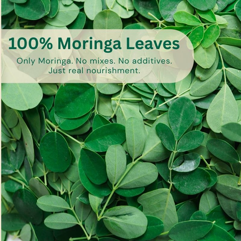 Moringa Powder