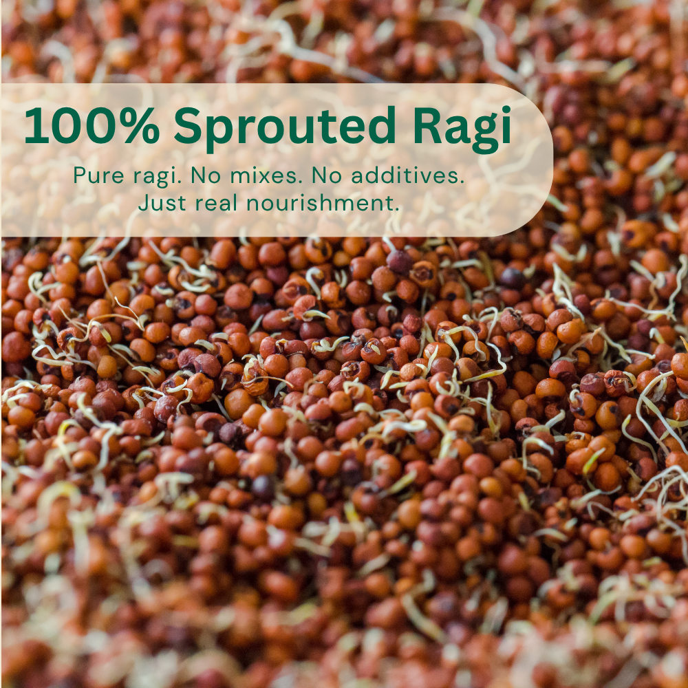 Sprouted Ragi
