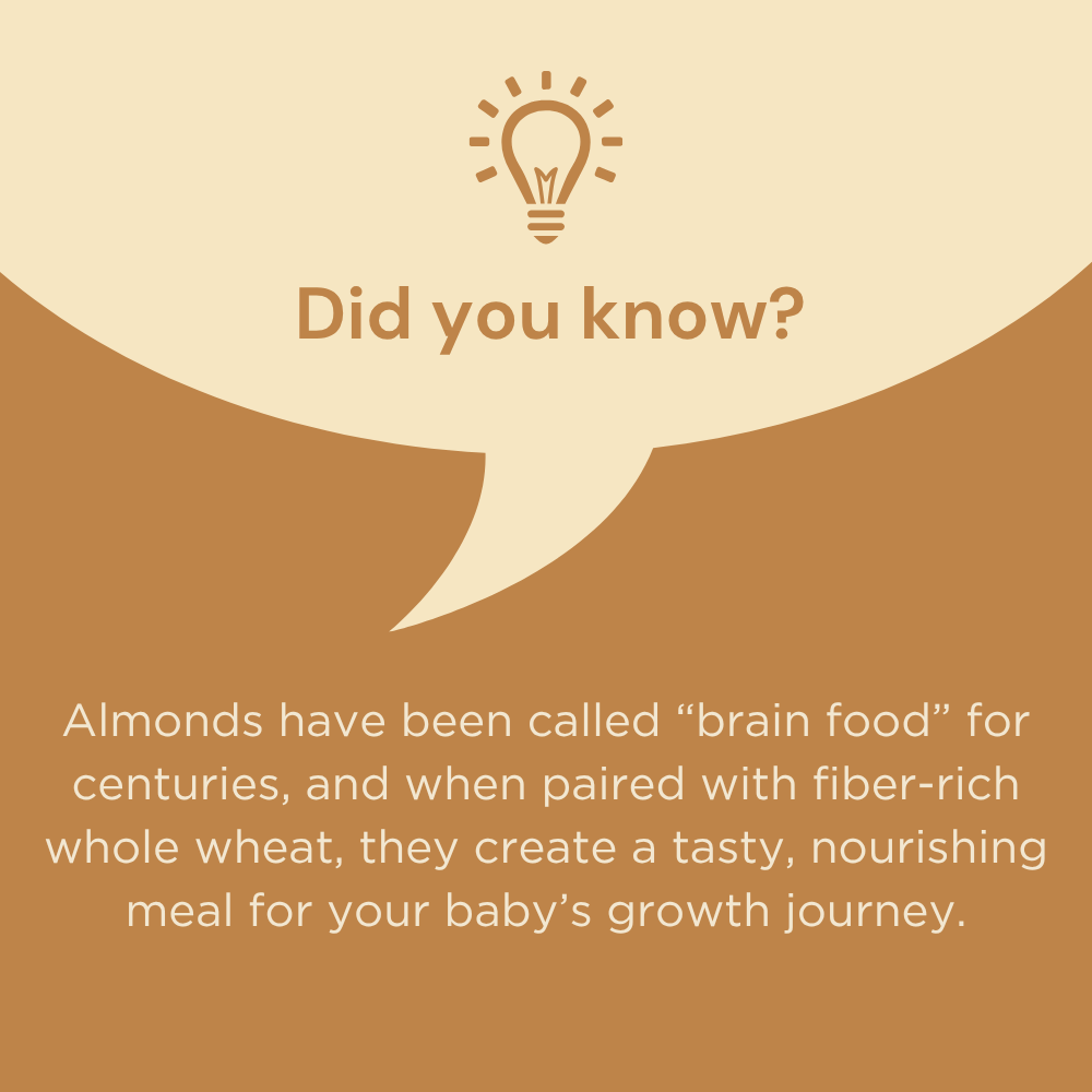 Whole Wheat & Almond Mix