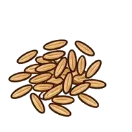 Brown rice plant