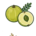 Amla