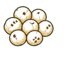 Makhana
